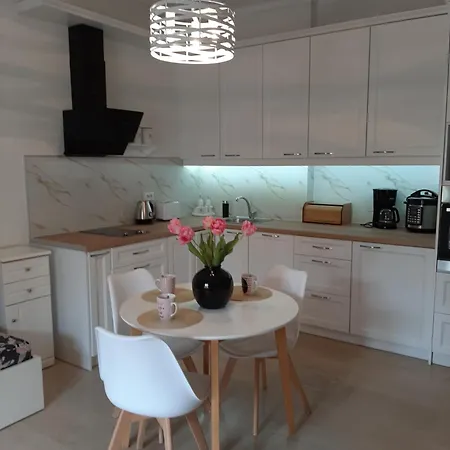 Olga Apart Apartment Ipsos